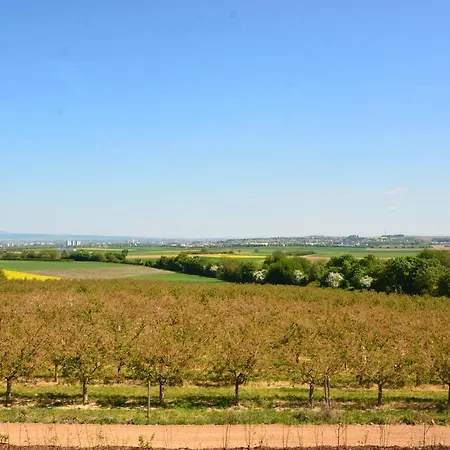Hotel Weingut Bugner Meizelhof Klein-Winternheim