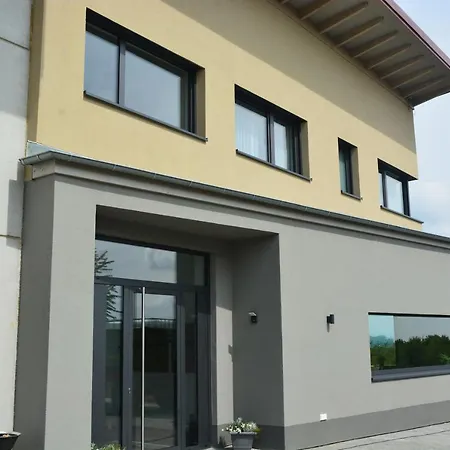 Weingut Bugner Meizelhof ホテル Klein-Winternheim