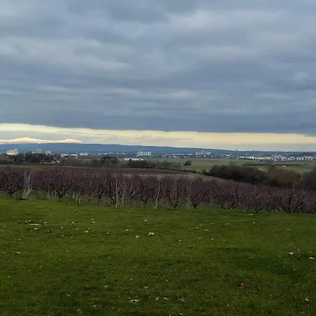 Weingut Bugner Meizelhof ホテル