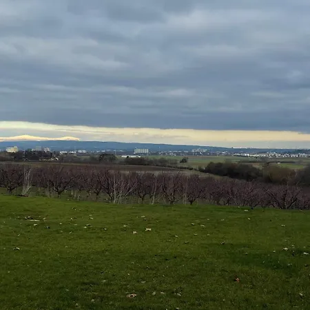 Weingut Bugner Meizelhof 3*
