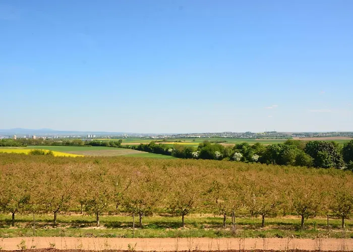 מלון Weingut Bugner Meizelhof Klein-Winternheim