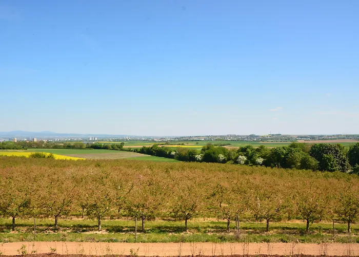 Weingut Bugner Meizelhof מלון